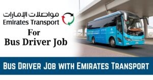 Bus-Driver-Job.jpg